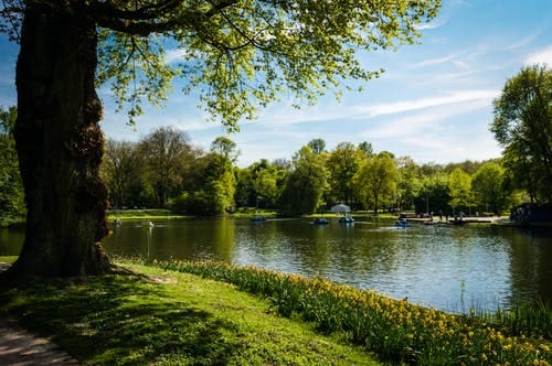 Chorley park